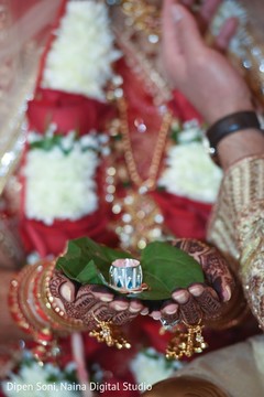 photo #309558 photo #309558