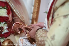 photo #309559 photo #309559