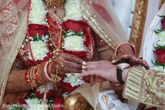 photo #309560 photo #309560