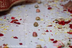 photo #309562 photo #309562