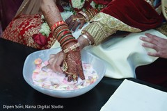 photo #309570 photo #309570