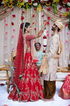 photo #310815 photo #310815