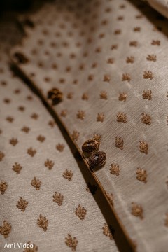 photo #311095 photo #311095