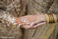 photo #311266 photo #311266