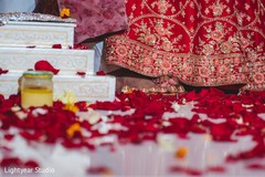 photo #312248 photo #312248