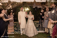 photo #313904 photo #313904