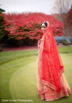 photo #314540 photo #314540