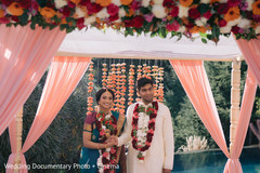 photo #314988 photo #314988