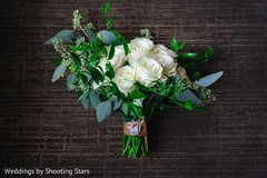 photo #315183 photo #315183