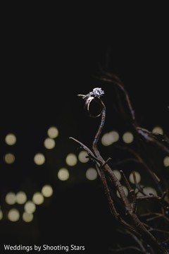 photo #315250 photo #315250