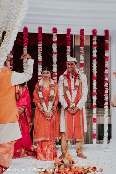 photo #315944 photo #315944