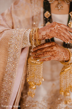 photo #317683 photo #317683