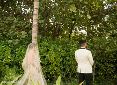 photo #318082 photo #318082