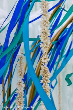 photo #320413 photo #320413