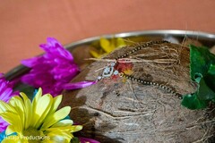 photo #321113 photo #321113