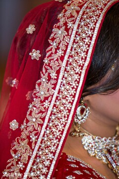 photo #321535 photo #321535