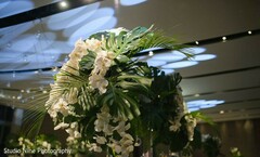 photo #323207 photo #323207