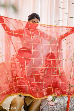 photo #323736 photo #323736