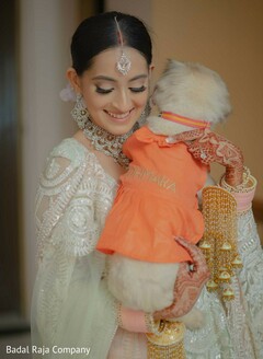photo #324933 photo #324933
