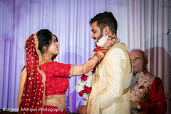 photo #325796 photo #325796