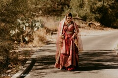 Graceful maharani photo Graceful maharani photo
