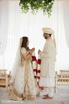 photo #328835 photo #328835