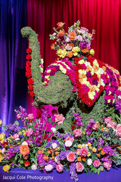 photo #330836 photo #330836