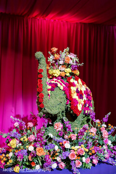 photo #330837 photo #330837