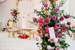 photo #331476 photo #331476