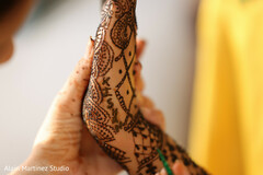 photo #337301 photo #337301
