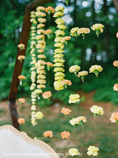 photo #341375 photo #341375
