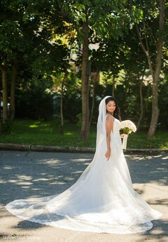photo #342383 photo #342383