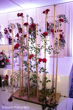 photo #354822 photo #354822
