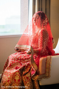photo #357670 photo #357670