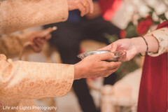 photo #377338 photo #377338