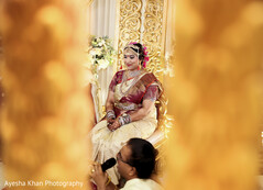 photo #383141 photo #383141