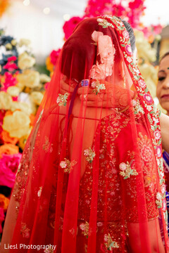 photo #396551 photo #396551