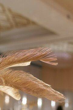 photo #404007 photo #404007