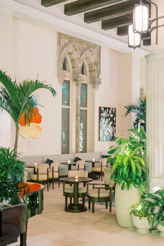A Luxurious Lounge Experience A Luxurious Lounge Experience