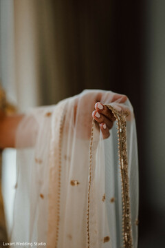 photo #407383 photo #407383