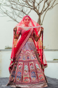 Nature's Backdrop: A Saree in Solitude