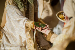 Intricate Bonds: Hands in a Traditional Wedding Ceremony Intricate Bonds: Hands in a Traditional Wedding Ceremony