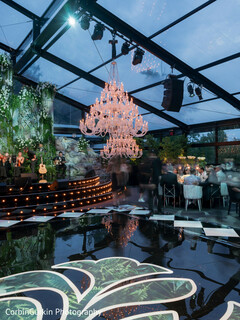 Illuminated Elegance