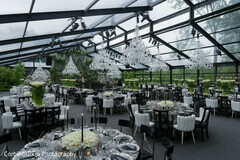 Sophisticated Elegance