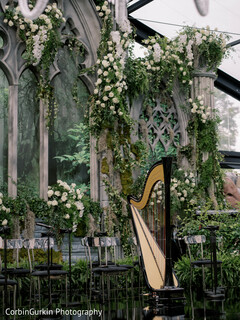 Fairytale Harp