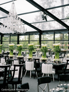 White Luxury