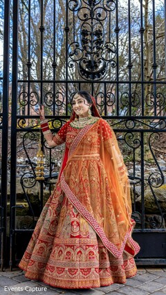 Intricate Beauty
