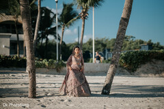 Sunlit Elegance by the Palms