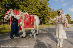Ready for the Grand Baraat! Ready for the Grand Baraat!