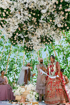 Tradition in Bloom Tradition in Bloom